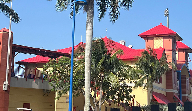 CrickBuster Experience